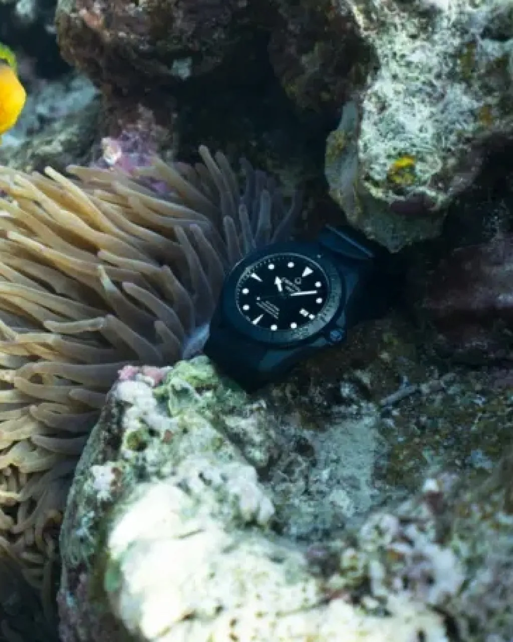 Discount DS Action Diver sort 43 mm Dykkerklokker | Til Han