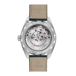 Hot Seamaster Aqua Terra 150 m Grønn 41 mm Til Han
